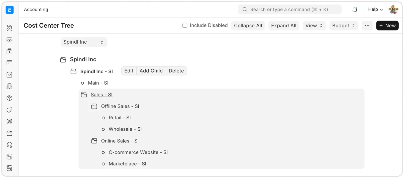 Nákladové strediská, dimenzie a rozpočty
